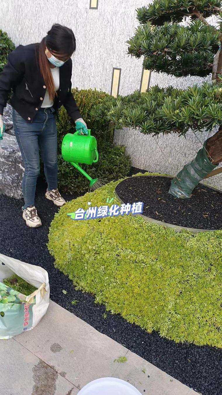 台州黄岩区家政保洁服务